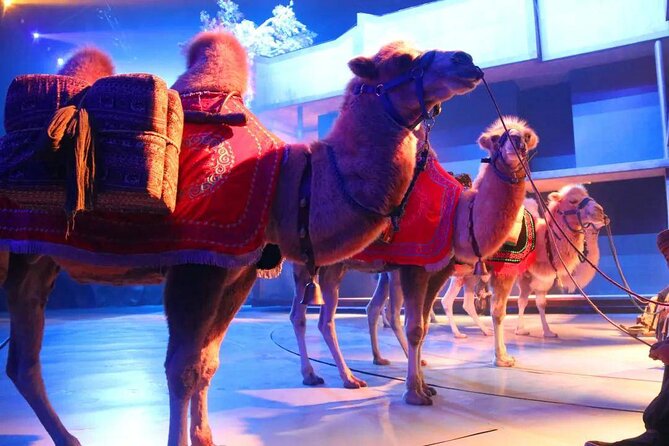 Xi'an Silk Road: Legend of Camel Bell Show Ticket with Transfer - Key things to know before booking