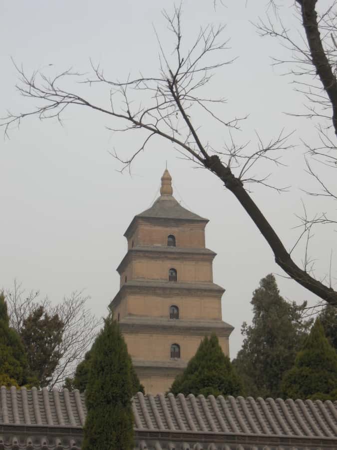 Xi'an: Terra-Cotta Warriors Entry with Optional Guide - Entering the museum and finding your own pace