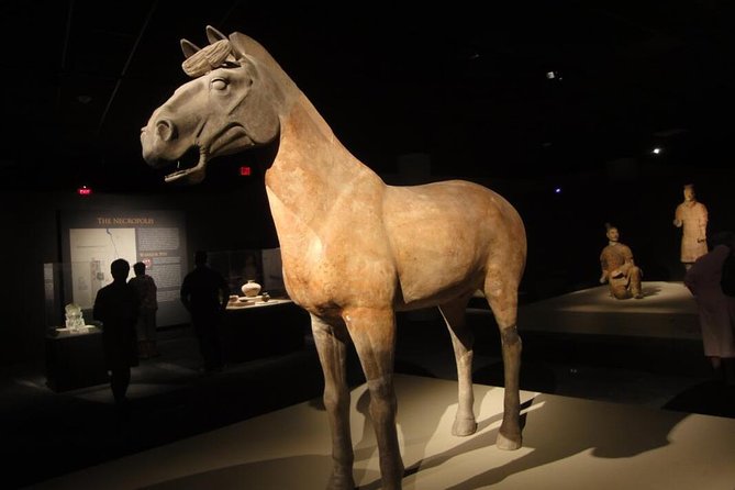 Xi’an Terracotta Army Entry Ticket Booking - with Guide Option - Adding a guide: when the extra help earns its keep