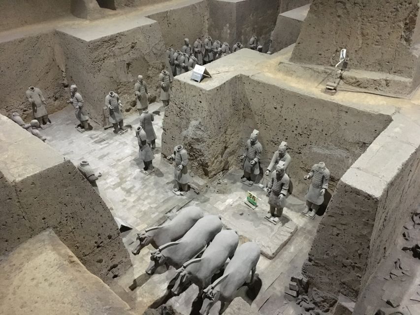 Xi'an:Terracotta Army Museum Walking Tour with Entry Tickets - Four to five hours with a private transfer