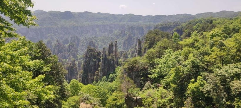 Zhangjiajie: National Forest Park 1-Day VIP Private Tour - Why a private day is useful in Zhangjiajie