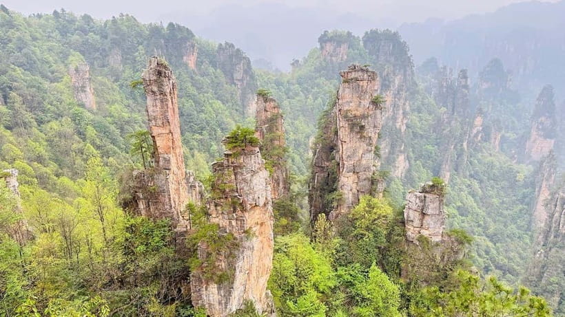 Zhangjiajie: National Forest Park 1-Day VIP Private Tour - Riding the Bailong Elevator