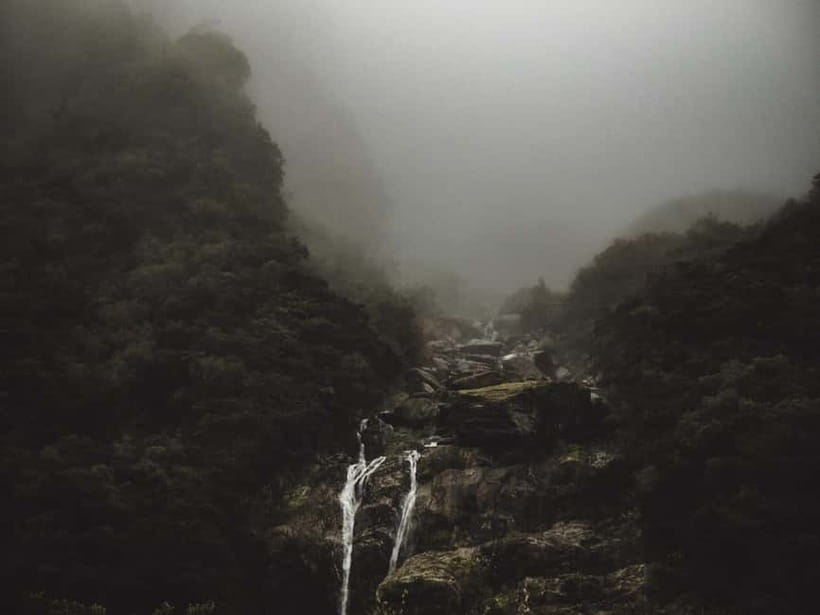 Zhangjiajie: National Forest Park 1-Day VIP Private Tour - What the guide adds to the day