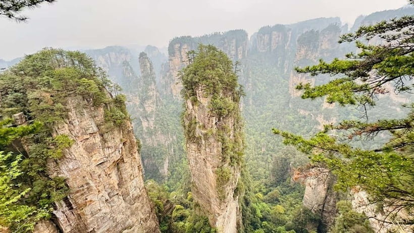 Zhangjiajie: National Forest Park 1-Day VIP Private Tour - Entering Yuanjiajie and the Avatar scenery