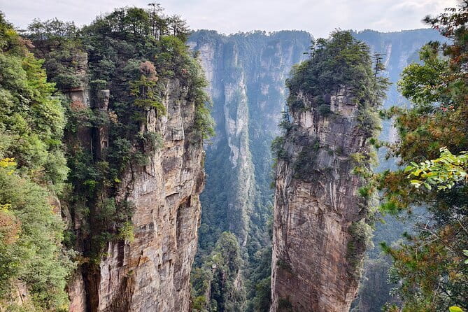 Zhangjiajie National Forest Park Admission Ticket - Key points to know before you book
