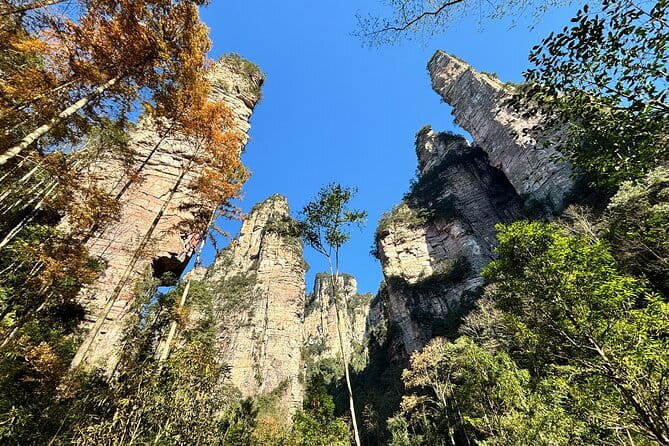 Zhangjiajie National Forest Park Admission Ticket - East Gate Line A: cableway up, elevator down