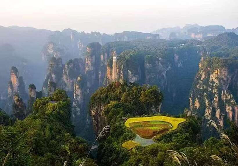 Zhangjiajie National Forest Park: Private Tour and Transport - Why this tour is useful in a very large park