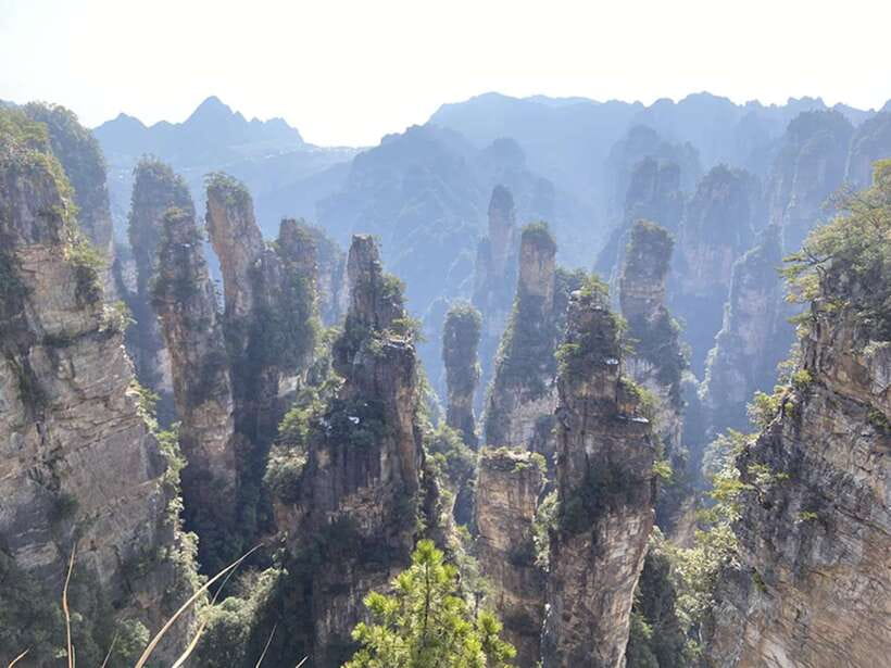 Zhangjiajie National Forest Park: Private Tour and Transport - Returning by cable car
