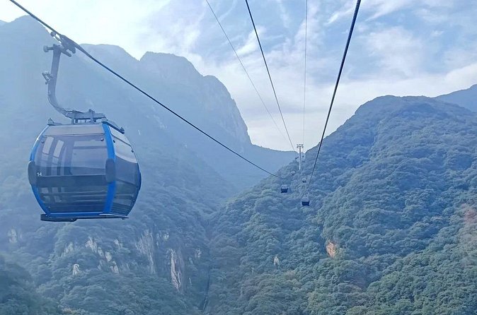 Zhengzhou Private Day Tour to Shaolin Temple and Longmen Grottoes - What the guide service adds