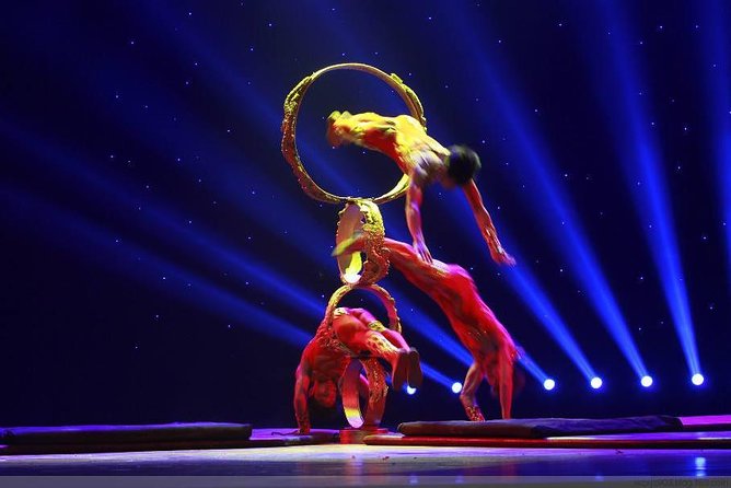 Zhujiajiao Private Day Tour and Shanghai Acrobatic Show - Dinner with local dish suggestions